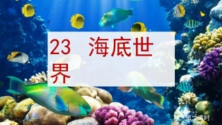 _海底世界演示文稿