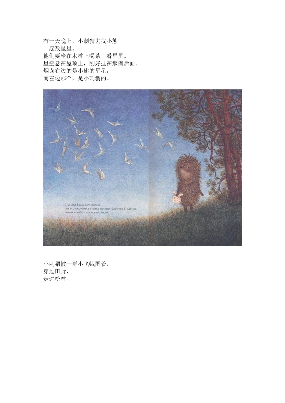 迷雾中的小刺猬_第2页