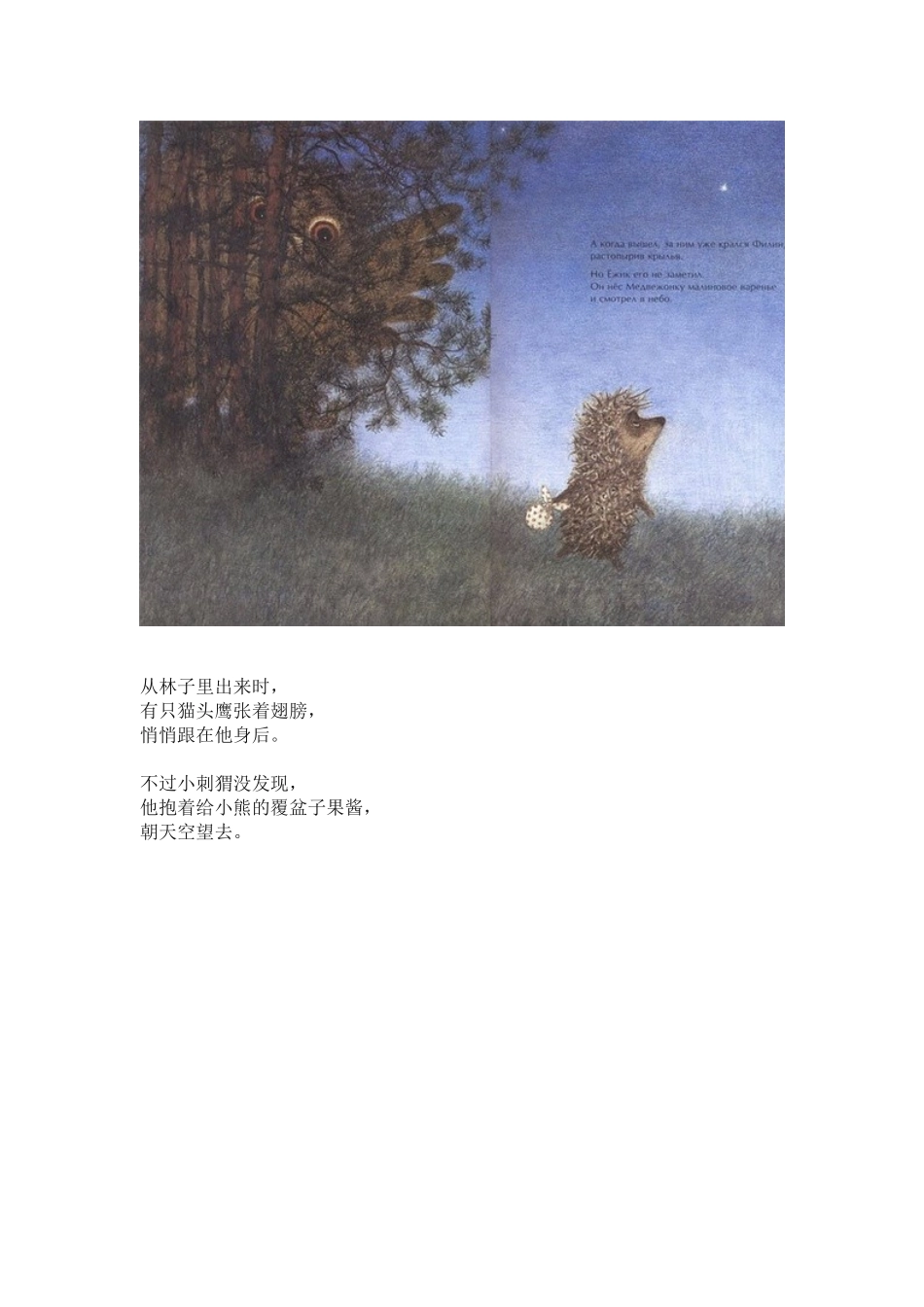迷雾中的小刺猬_第3页