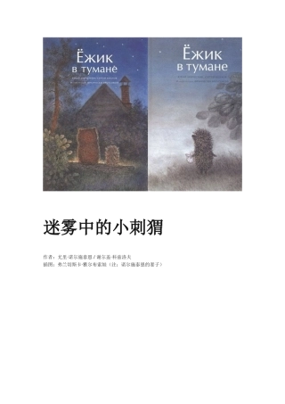 迷雾中的小刺猬