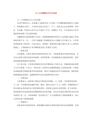 大二上学期团支书工作总结 