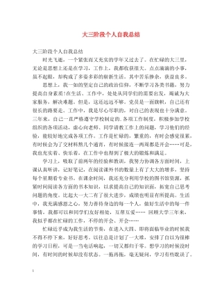 大三阶段个人自我总结 