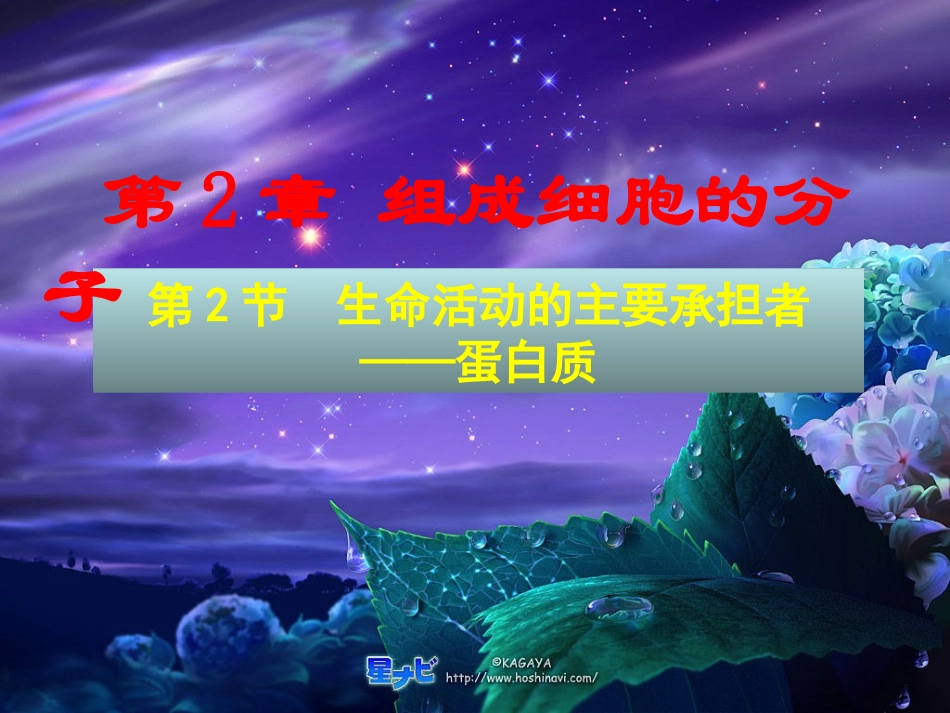 生命活动的主要承担者--蛋白质课件（人教版选修I）_第1页