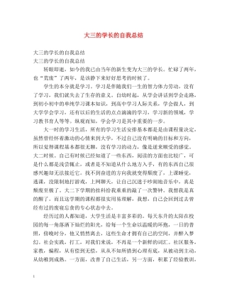 大三的学长的自我总结 