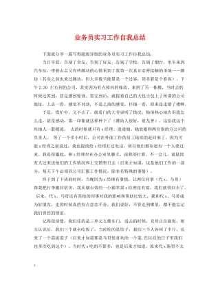 业务员实习工作自我总结