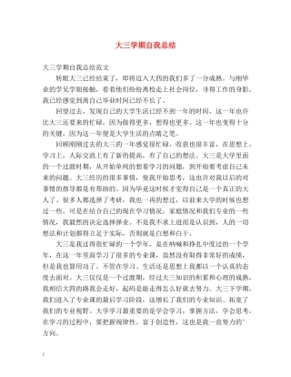 大三学期自我总结 