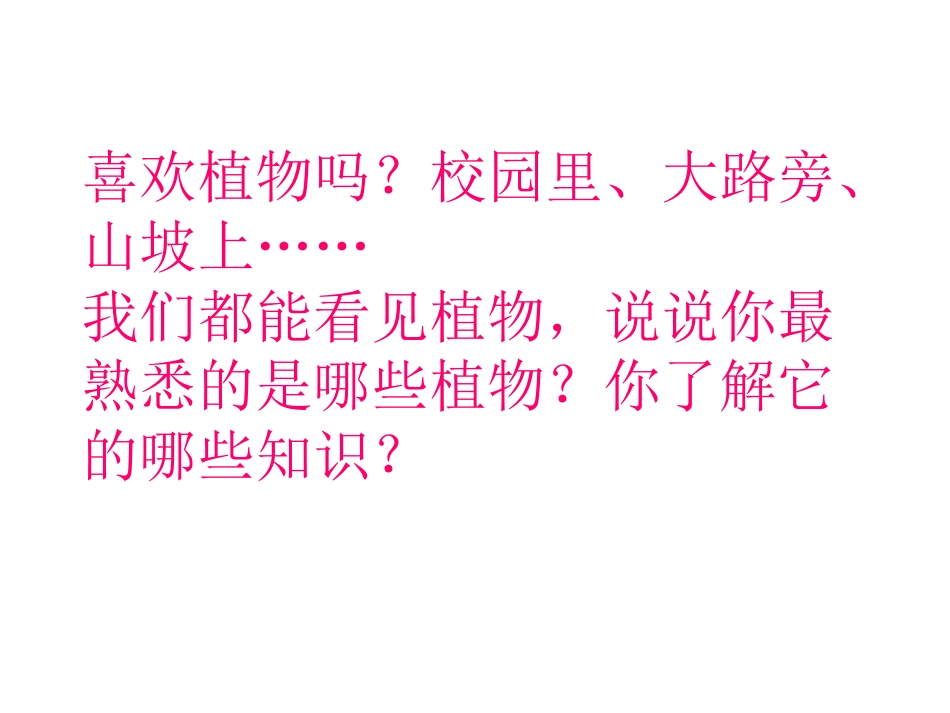 一1我看到了什么2_第2页