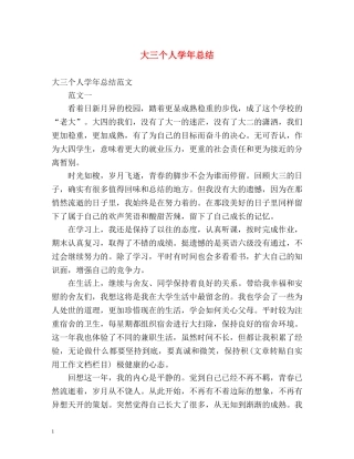 大三个人学年总结 