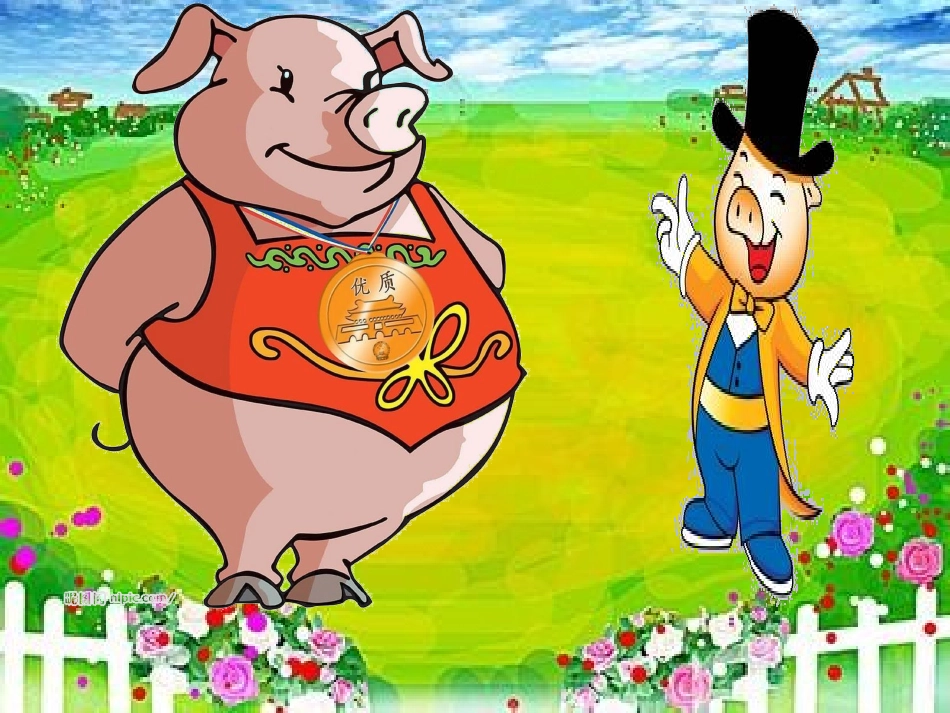 动物农场（新）推荐_第3页