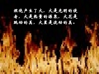 燃烧与灭火说课楚红伟