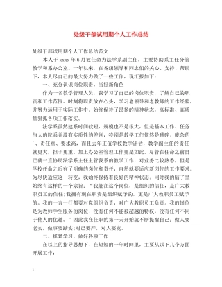 处级干部试用期个人工作总结 