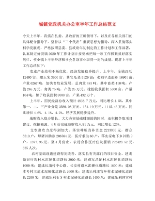 城镇党政机关办公室半年工作总结范文 