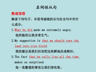 高考英语语法复习-名词性从句课件