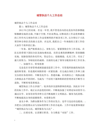 城管执法个人工作总结 