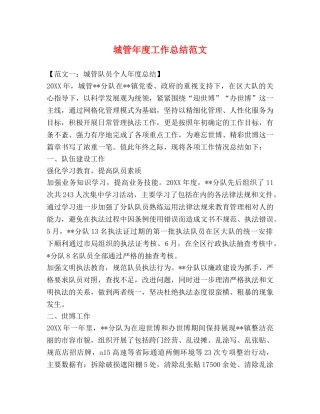城管年度工作总结范文 