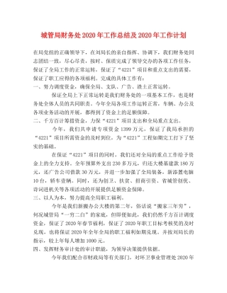 城管局财务处2020年工作总结及2020年工作计划 