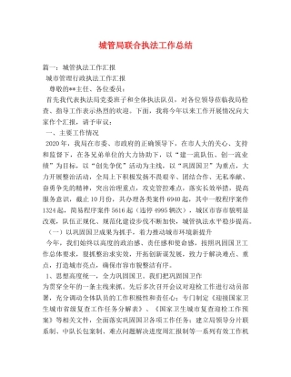 城管局联合执法工作总结 
