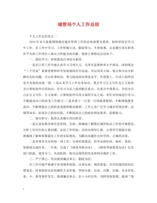 城管局个人工作总结 