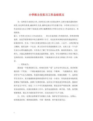 小学班主任实习工作总结范文