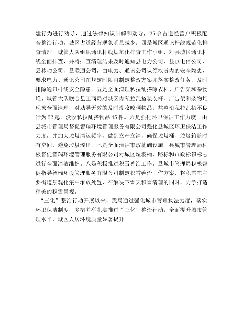 城管局三化整治行动总结 _第2页