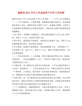 城管局2021半年工作总结和下半年工作安排 