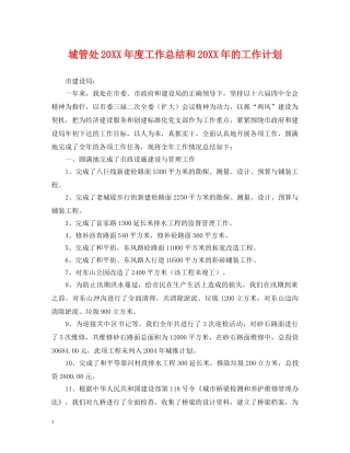 城管处20XX年度工作总结和20XX年的工作计划 