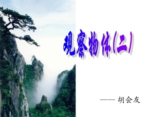 胡会友教研课观察物体(2)
