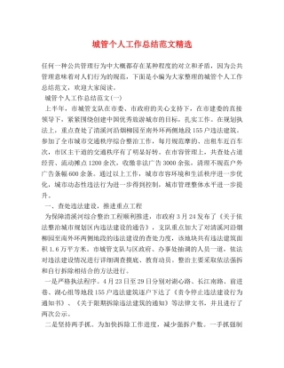 城管个人工作总结范文精选 