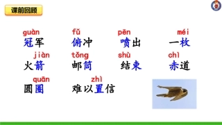 -什么比猎豹的速度更快-第二课时 ()