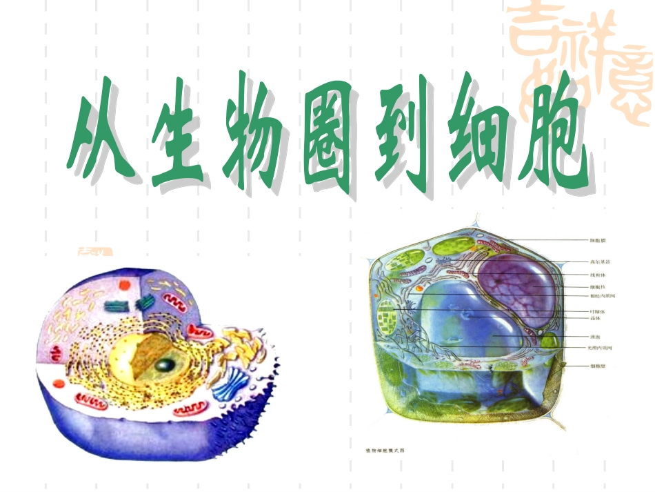从生物圈到细胞课件_第1页