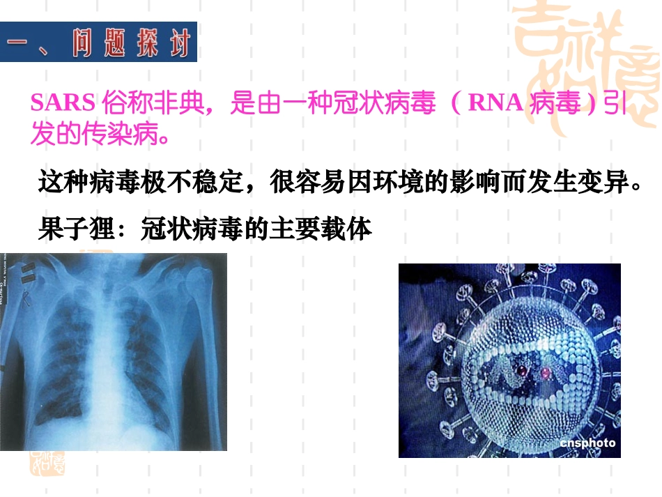 从生物圈到细胞课件_第2页