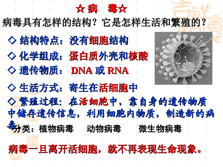 从生物圈到细胞课件_第3页