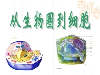从生物圈到细胞课件
