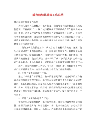 城市精细化管理工作总结 (2) 