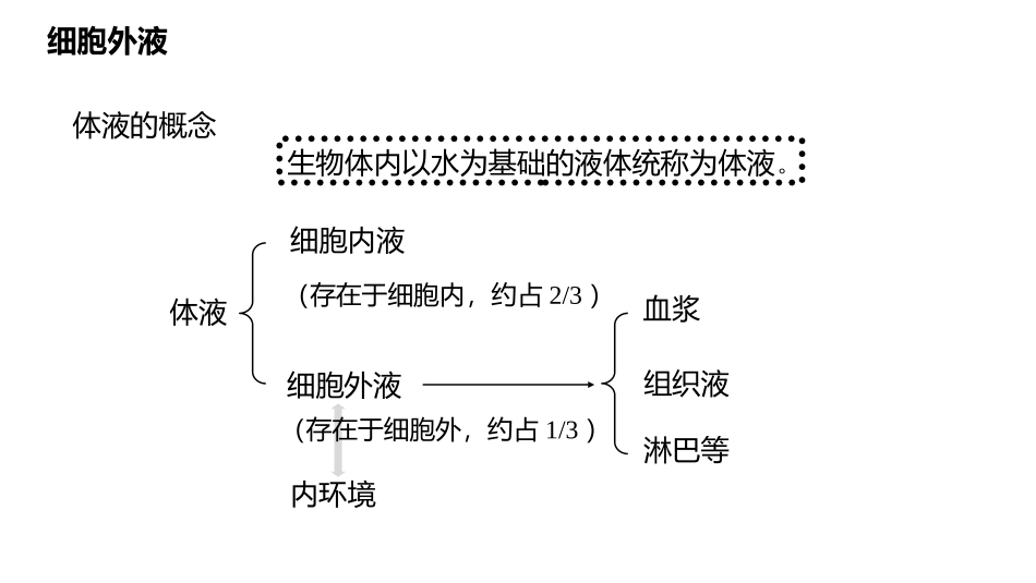 内环境和稳态_第2页