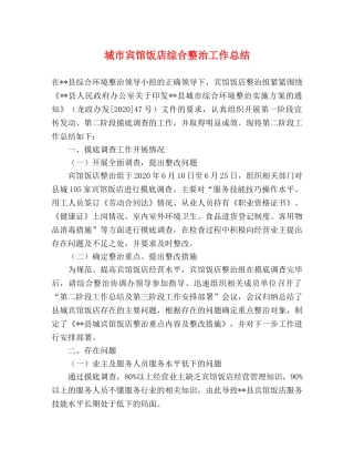 城市宾馆饭店综合整治工作总结 