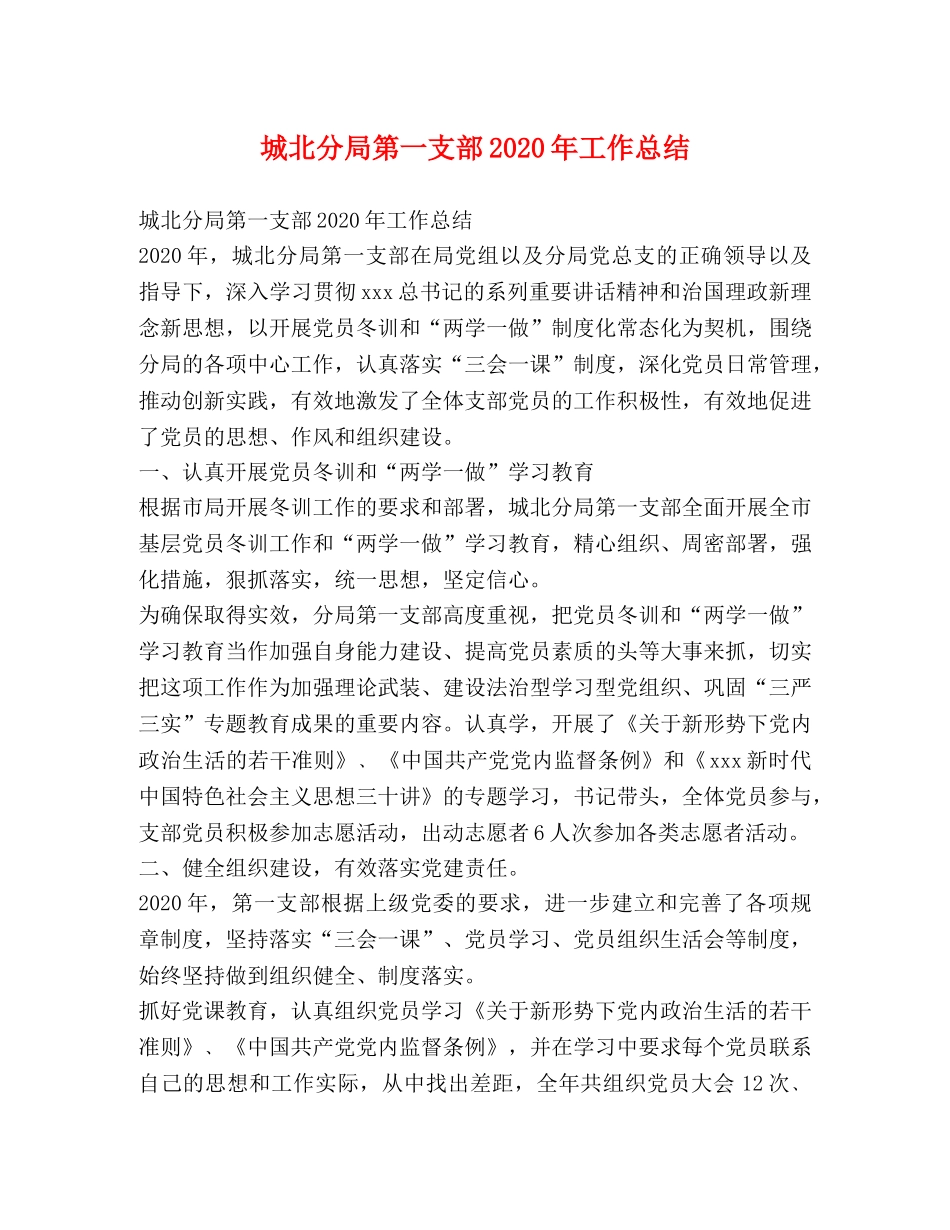 城北分局第一支部2020年工作总结 _第1页