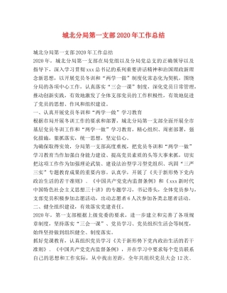 城北分局第一支部2020年工作总结 