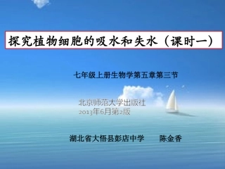 探究植物细胞的吸水和失水
