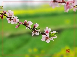 《春》（上课用）