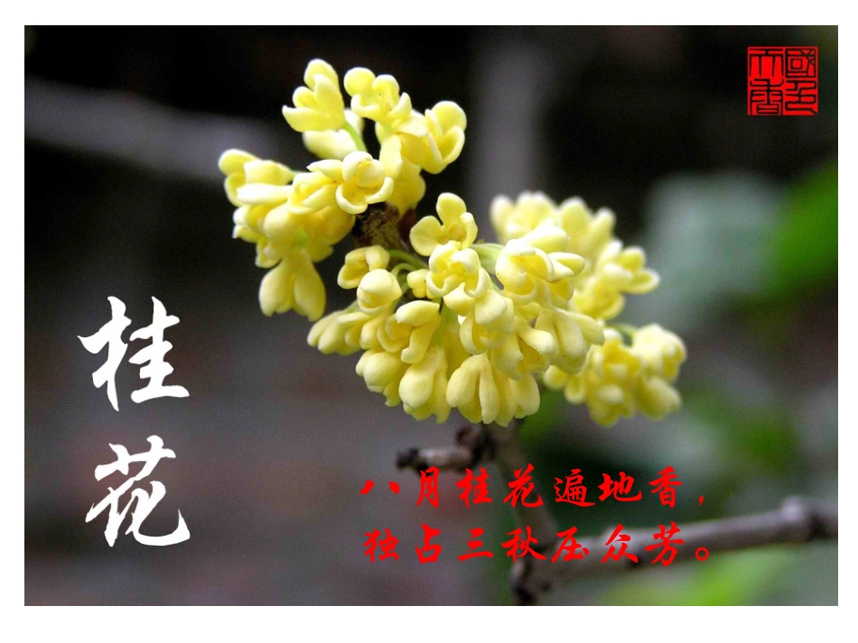 第三单元课题1分子和原子--课件_第3页