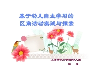 区域设置与主题推进