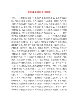 半年我县组织工作总结2 