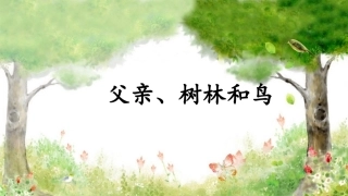 父亲、树林和鸟第二课时教案