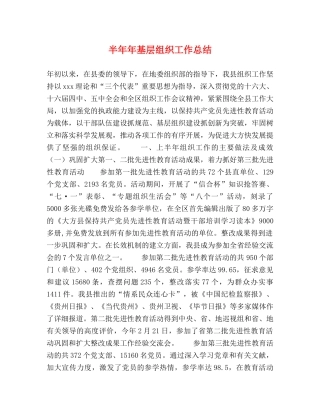 半年年基层组织工作总结2 