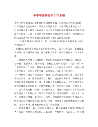 半年年基层组织工作总结 