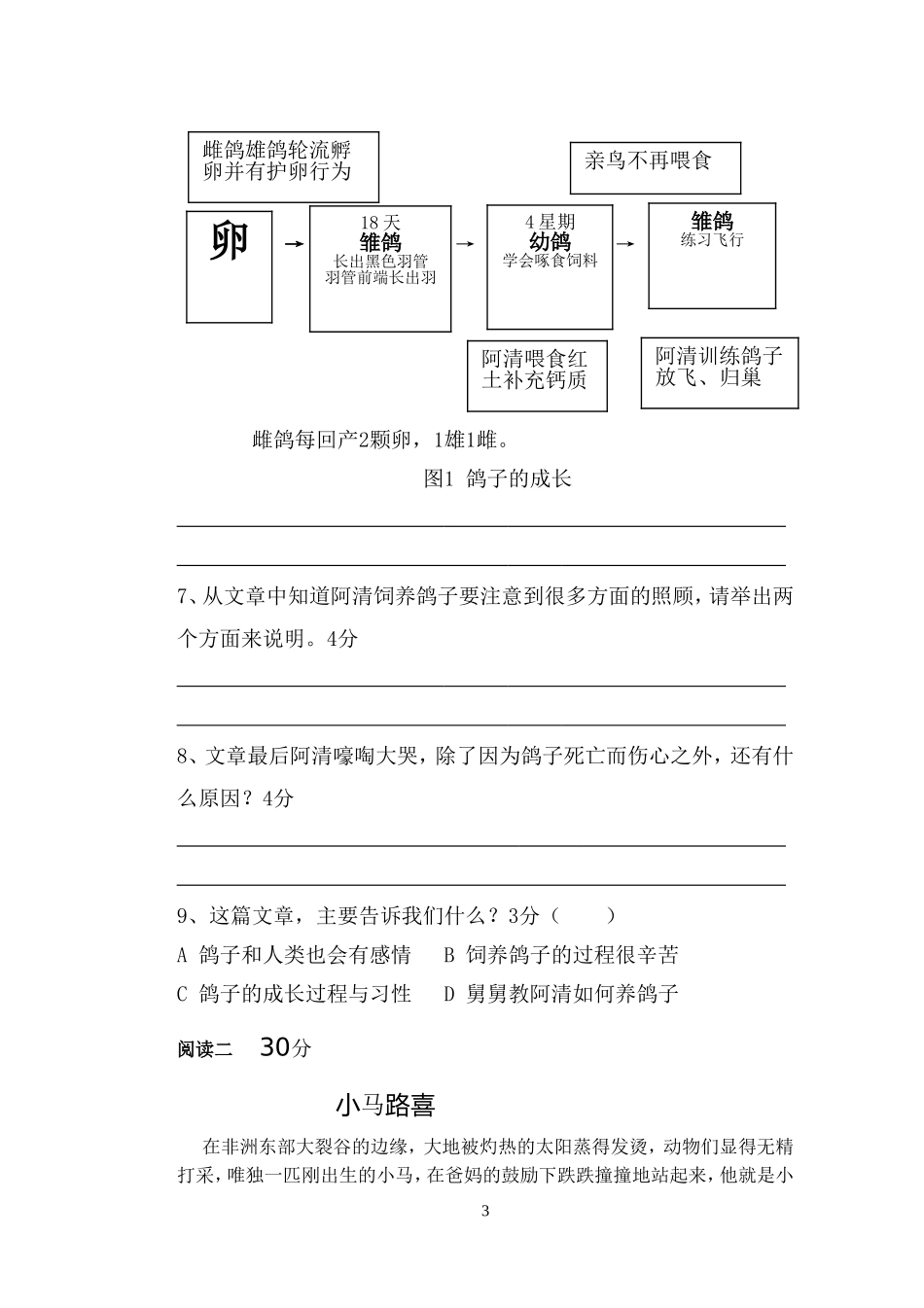 （改）人教版五上三四单元测试卷_第3页