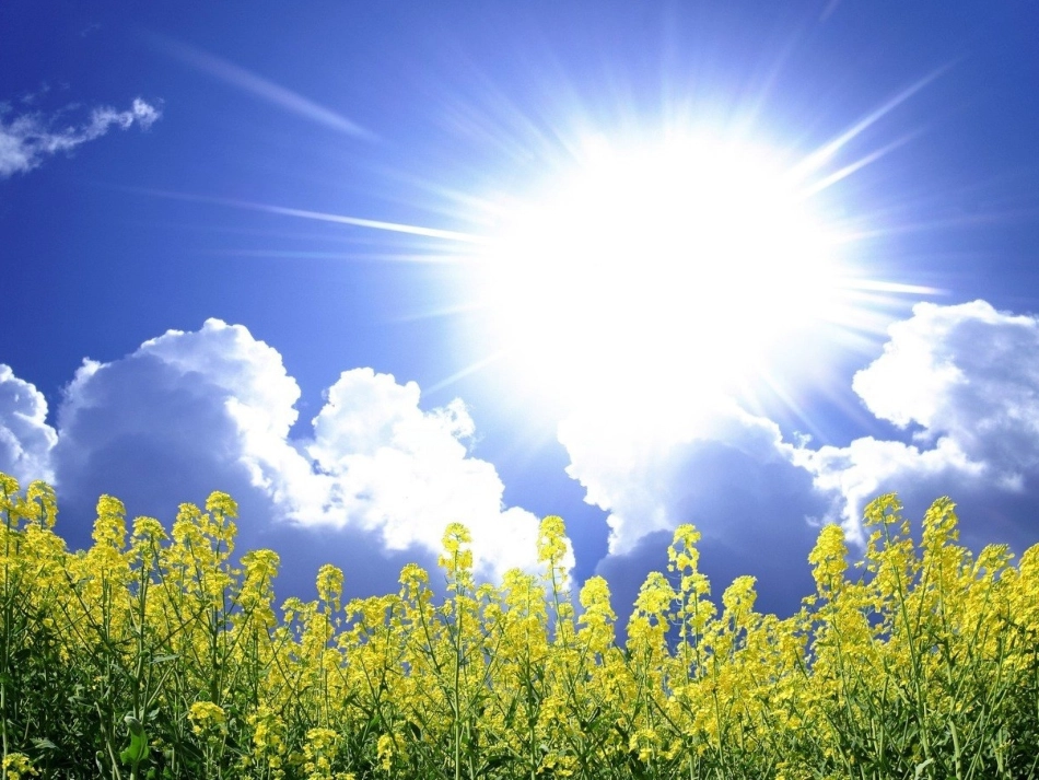 一年级科学《天气的影响》_第1页