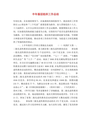 半年基层组织工作总结 