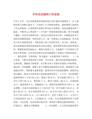 半年全区组织工作总结2 